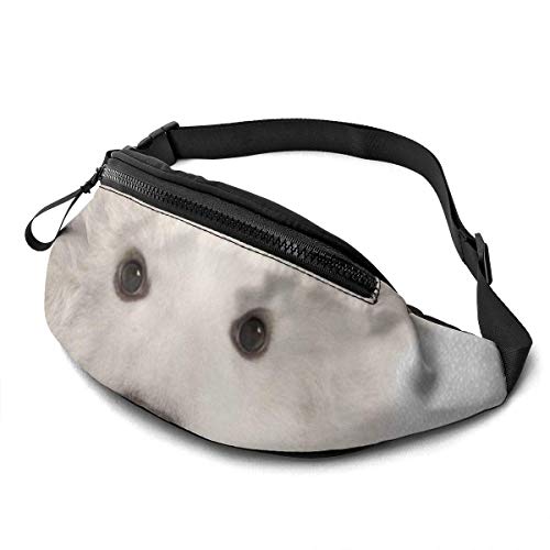 XCNGG Bolso de cintura corriente bolso de cintura de ocio bolso de cintura bolso de cintura de moda Polar Bear Colorful Belt Bag 13.7 X 5.5 inch Unisex Running Waist Packs Fashion Casual Waist Bag, Ca