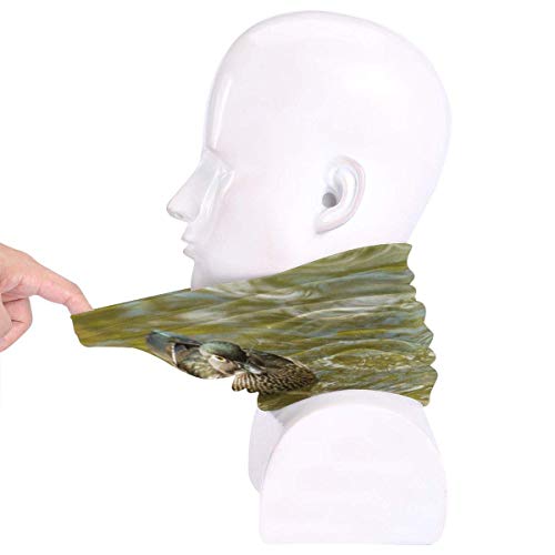 XCVD Lindo pato mandarín unisex microfibra cuello calentador protector solar diadema a prueba de viento bufanda para exterior