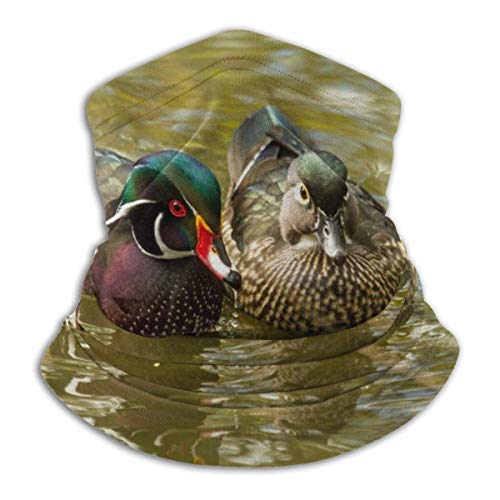 XCVD Lindo pato mandarín unisex microfibra cuello calentador protector solar diadema a prueba de viento bufanda para exterior
