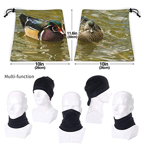 XCVD Lindo pato mandarín unisex microfibra cuello calentador protector solar diadema a prueba de viento bufanda para exterior
