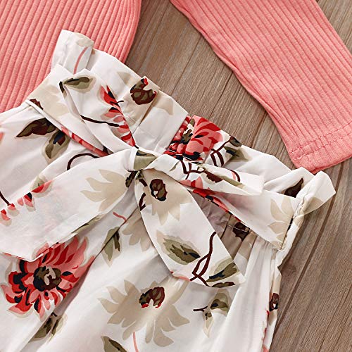 Xuefoo - Conjunto de ropa infantil de manga larga para bebé o niña, con volantes, conjunto de 3 piezas Rose À Manches Longues 12-18 Meses