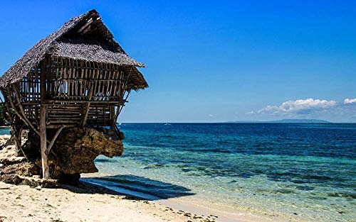 XZHYMJ Diy 5D Kit de pintura de diamante Alcoy Crystal Rhinestone para la decoración de la pared del hogar Taladro completo Regalo del Día de San Valentín 30X40Cm