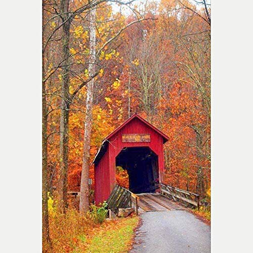 XZHYMJ pintura de diamantes 5D 5D Diamante Arte DIY para y niños Artesanía Cabina de diamantes de imitación de cristal en el bosque para decoración de la pared del hogar 40X30 cm