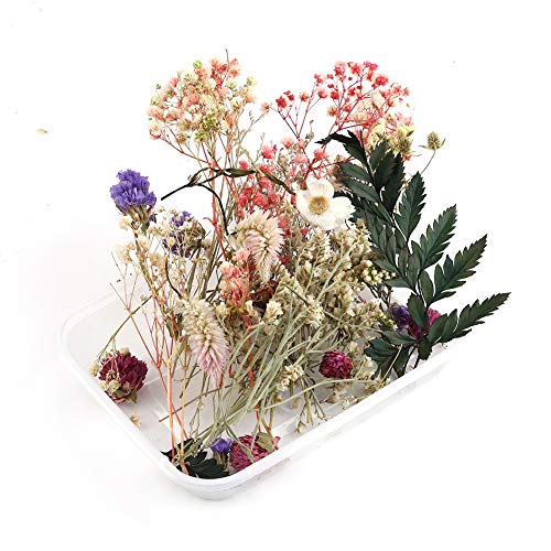 Yamer Vela de Resina para Manualidades con Flores Secas, Hecha a Mano, para Hacer Aromaterapia (Color Aleatorio)