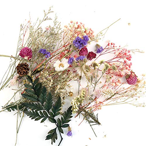 Yamer Vela de Resina para Manualidades con Flores Secas, Hecha a Mano, para Hacer Aromaterapia (Color Aleatorio)