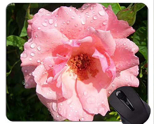Yanteng Gaming Mouse Pad Custom, Beautiful Nature Rose - Bordes cosidos