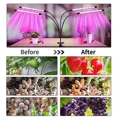 Yasbed - Lámpara para plantas con 4 cabezales, luz LED para plantas de interior con temporizador, 4 tipos de modos, 9 intensidades de luz, lámpara para jardinería