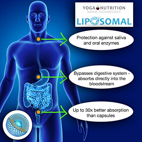 Yoga Nutrition Resveratrol Liposomal 250 ml, Gotas Antioxidante Beneficios Cardiosaludables y Anti Envejecimiento, Vitaminas para la Piel en Líquido.