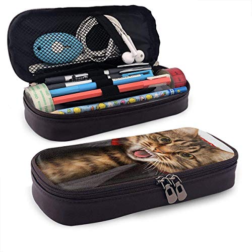 Yuanmeiju Cats Vampires Estuche for Boys and Girls Large Pencil Pouch Holder Pen Case for Student College School Supplies & Office
