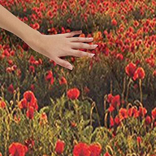 YUAZHOQI - Juego de funda de edredón de 3 piezas, diseño de amapola en la puesta del sol, vigas de sol, prado, nubes, paisaje de flores silvestres, funda de edredón y 2 fundas de almohada