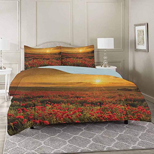 YUAZHOQI - Juego de funda de edredón de 3 piezas, diseño de amapola en la puesta del sol, vigas de sol, prado, nubes, paisaje de flores silvestres, funda de edredón y 2 fundas de almohada