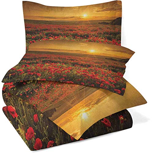 YUAZHOQI - Juego de funda de edredón de 3 piezas, diseño de amapola en la puesta del sol, vigas de sol, prado, nubes, paisaje de flores silvestres, funda de edredón y 2 fundas de almohada