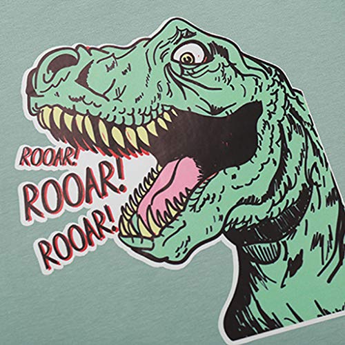 YWLINK Sudadera De Manga Larga NiñO NiñA OtoñO Letra De Dinosaurio De Dibujos Animados Camiseta Arriba Lindo Cardigan Al Aire Libre Ropa Casual Mezcla De AlgodóN Ropa Deportiva(Verde,5-6 años/130)