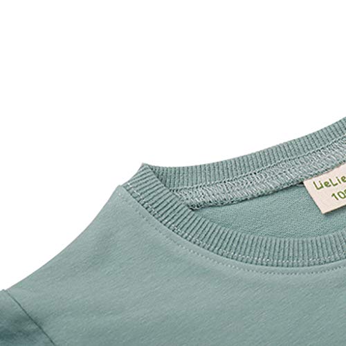 YWLINK Sudadera De Manga Larga NiñO NiñA OtoñO Letra De Dinosaurio De Dibujos Animados Camiseta Arriba Lindo Cardigan Al Aire Libre Ropa Casual Mezcla De AlgodóN Ropa Deportiva(Verde,5-6 años/130)