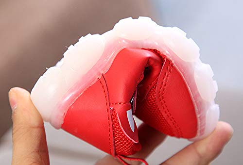 Zapatillas de Deporte con Luces para Niños Niñas Primavera Invierno 2019 PAOLIAN Calzado Running Exterior Niñas Niños Zapatos de Primeros Pasos Bebés Bautizo Recién Nacidos Suela Dura
