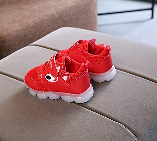 Zapatillas de Deporte con Luces para Niños Niñas Primavera Invierno 2019 PAOLIAN Calzado Running Exterior Niñas Niños Zapatos de Primeros Pasos Bebés Bautizo Recién Nacidos Suela Dura