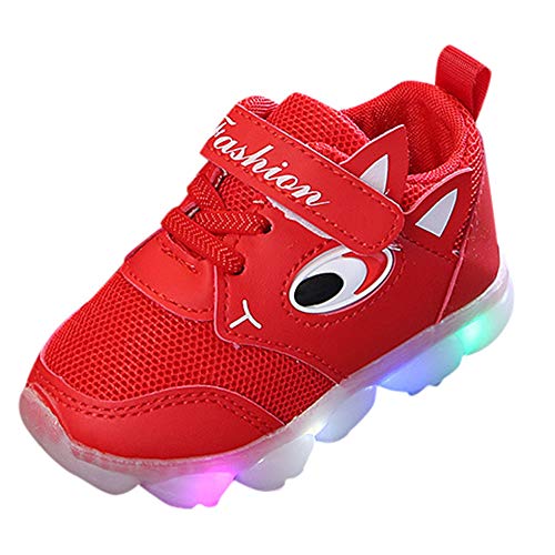 Zapatillas de Deporte con Luces para Niños Niñas Primavera Invierno 2019 PAOLIAN Calzado Running Exterior Niñas Niños Zapatos de Primeros Pasos Bebés Bautizo Recién Nacidos Suela Dura