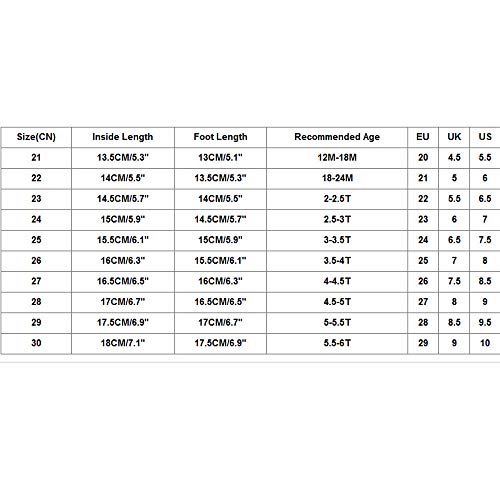 Zapatillas de Deporte con Luces para Niños Niñas Unisex Bebés Verano Otoño 2019 Moda PAOLIAN Zapatos Niñas Niños Vestir Running Exterior Casual Calzado de Primeros Pasos