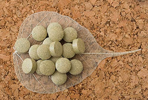 Zestlife Isoflavonas de Soja Kudzu Root y trébol rojo - 90 Tabletas |