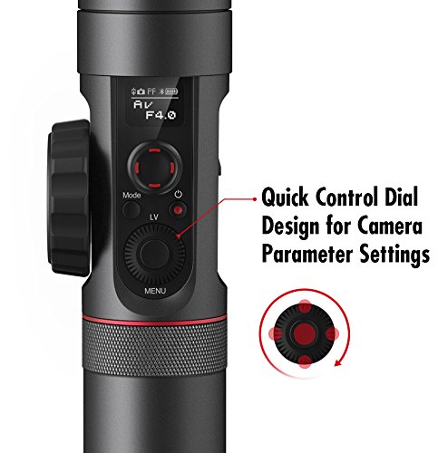 Zhiyun Crane 2 - Estabilizador de 3 ejes con control motor para cámaras Reflex o EVIL (batería de hasta 18h de duración, soporta entre 500-3200g de peso), color negro