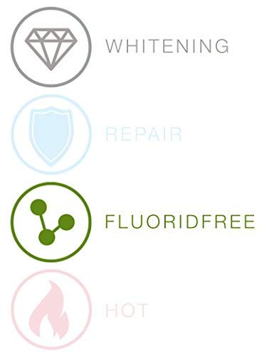 10 X Splat Blackwood Blanqueador Carbono Pasta de Dientes - Oferta de Ahorro