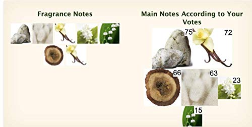 100% auténtico Tiziana Terenzi Dionisio Extrait de Parfum 100 ml Made in Italy + 2 muestras de perfume de nicho gratis