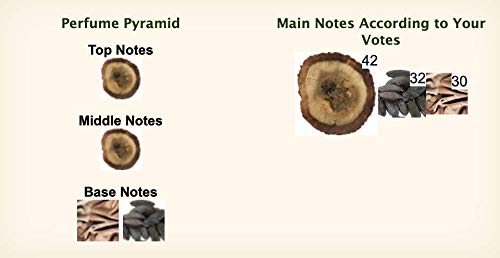 100% Authentic SHL 777 - Oud 777 EDP 50ml Made in France + 3x2ml Niche Perfume Samples