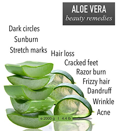 100% Natural Gel de Aloe Vera Refrescante Hidratante Rostro Cuerpo 5000 ml DEPILACIÓN - Acondicionador Pelo- Ultra Concentrado Calmante despues del Sol, Afeitarse, Depilarse