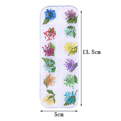 2 Cajas Flores Secas De Uñas, Conjunto de flores Secas Reales de Arte de Uñas, 3D Nail Art Stickers Decoración DIY Preserved Flower Stickers Consejos Manicura Decoración Accesorios Mixtos