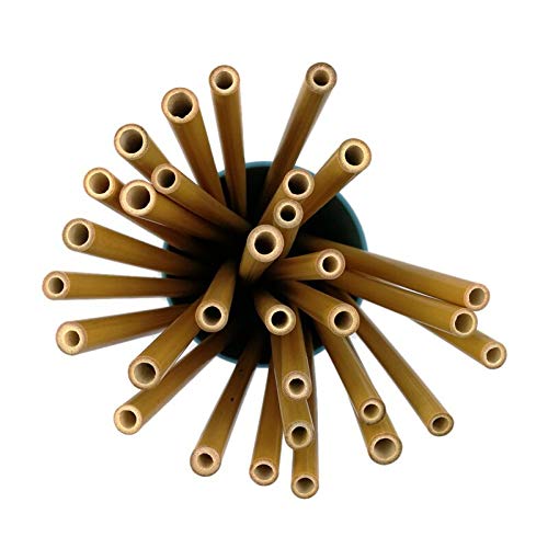 20 pajitas de bambú 100% biodegradables de madera de bambú natural, pajitas lavables y reutilizables para cócteles y todo tipo de bebidas, alternativa al plástico sin BPA, compostables, vegano