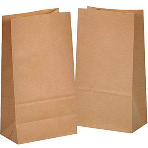 25 piezas Bolsas de Papel Regalo 14 x 26 x 8 cm - Bolsa Biodegradable Regalos Comunión para Invitados o para Guardar Comida, Semillas Flores, Dulces, Chuches, Pan - Bolsitas Kraft Marrón kgpack