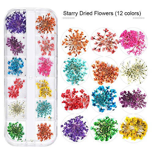 3 caja 36 colores Real Flores secas 3D Nail Art Stickers Decoración DIY Preserved Flower Stickers Consejos Manicura Decoración Accesorios mixtos(Margarita Estrellada y Cinco Flores)