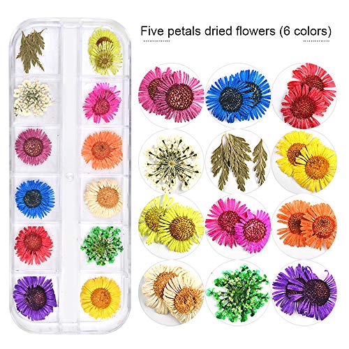 3 caja 36 colores Real Flores secas 3D Nail Art Stickers Decoración DIY Preserved Flower Stickers Consejos Manicura Decoración Accesorios mixtos(Margarita Estrellada y Cinco Flores)