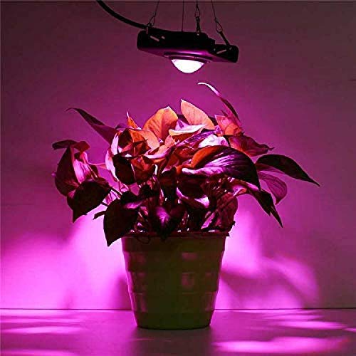 50W LED plant grow light Indoor Plants, Excellent Grow Lamp Full Spectrum, with 4000K, for Seedling, for Succulents veg flower