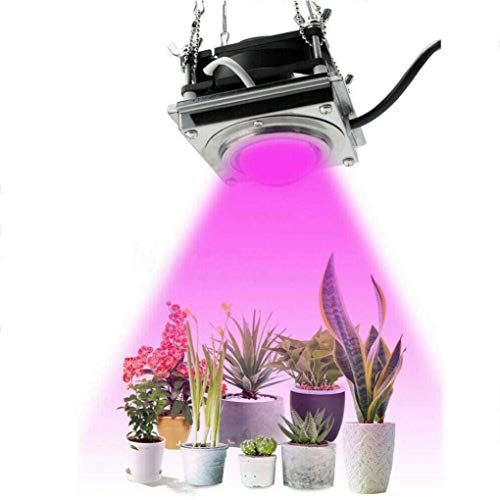 50W LED plant grow light Indoor Plants, Excellent Grow Lamp Full Spectrum, with 4000K, for Seedling, for Succulents veg flower