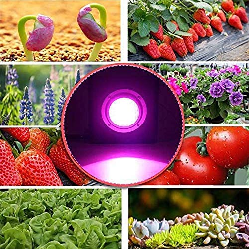 50W LED plant grow light Indoor Plants, Excellent Grow Lamp Full Spectrum, with 4000K, for Seedling, for Succulents veg flower