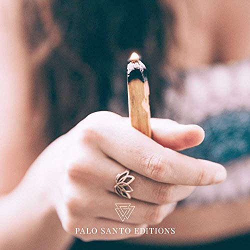 Aashram Premium Edición de 100g de Ramas de Palo Santo -Ramas robustas con fragancia de madera de Palo Santos cosechadas ecológicamente en Perú para yoga, meditación, relajación, limpieza y curación