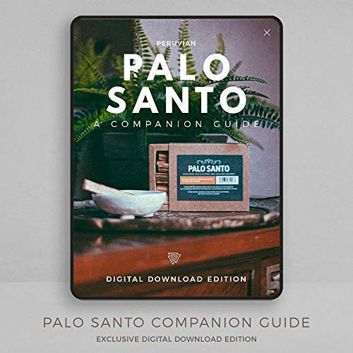 Aashram Premium Edición de 100g de Ramas de Palo Santo -Ramas robustas con fragancia de madera de Palo Santos cosechadas ecológicamente en Perú para yoga, meditación, relajación, limpieza y curación