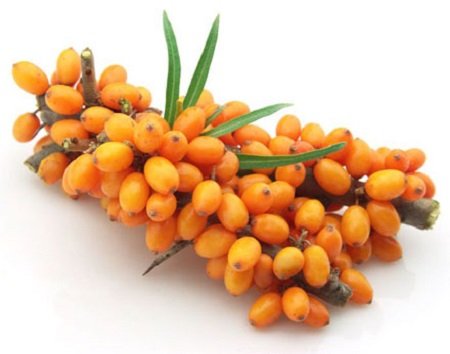 ACEITE DE ESPINO AMARILLO 900mg, antioxidante y activador inmunoestimulante, 100% Puro, PRENSADO EN FRÍO, 40 Capsulas, una maravilla de la naturaleza