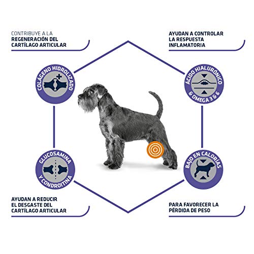 Advance, Dieta especial para perros 3kg