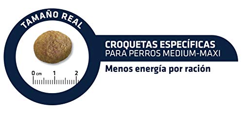 Advance Obesity Veterinary Diets Weight Balance Medium-Maxi - Pienso para Perros de razas medianas y grandes con problemas de sobrepeso - 12 kg