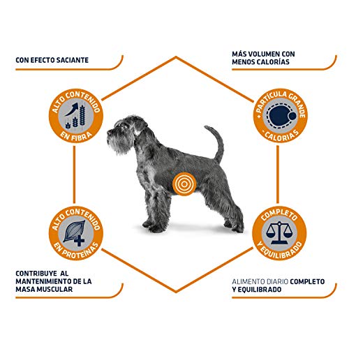 Advance Obesity Veterinary Diets Weight Balance Medium-Maxi - Pienso para Perros de razas medianas y grandes con problemas de sobrepeso - 12 kg