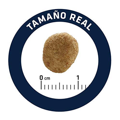 Advance Veterinary Diets Weight Balance - Pienso para Gatos con Tendencia a la obesidad - 8 kg