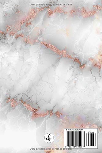 Agenda: Diaria de 12 Meses | Vista Semanal y Mensual | Calendario Planificador Organizador | Formato A5 | Mármol Oro Rosa y Gris (Enero a Diciembre 2020)