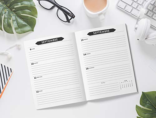 Agenda escolar 2019-2020: Planner Semanal - Semana Sista - Calendario - Horario - Prints Palm