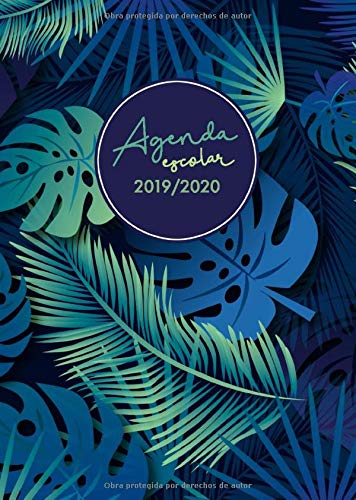 Agenda escolar 2019-2020: Planner Semanal - Semana Sista - Calendario - Horario - Prints Palm