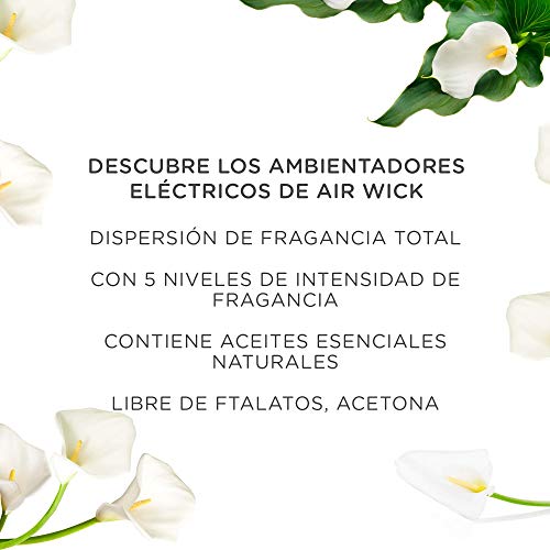 Air Wick Eléctrico - Recambios de ambientador automático eléctrico, esencia para casa con aroma a White Bouquet - 3 unidades
