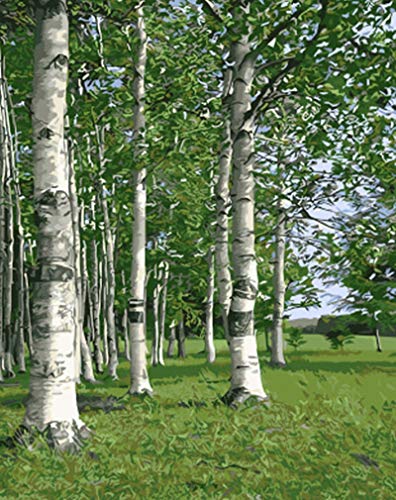 AiZnoY - Kit de pintura al óleo por números, 20 x 16 cm, diseño de bosque