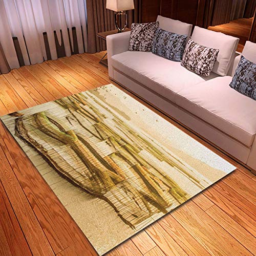 Alfombra antideslizante 84 * 60 pulgadas Cangrejo Xiapu Fujian Ocho pies Vista de la puerta Paddock Dove Alfombras Alfombra para el aula Sala de estar Dormitorio Comedor Sala de jardín de infantes