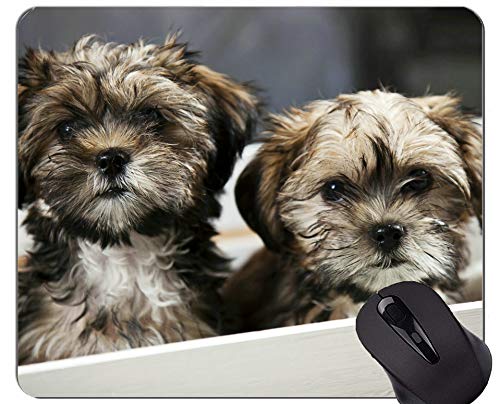 Alfombrillas para ratón, Alfombrilla para Juegos, Alfombrilla para ratón, Animal Perro Cachorro Animal - Bordes cosidos